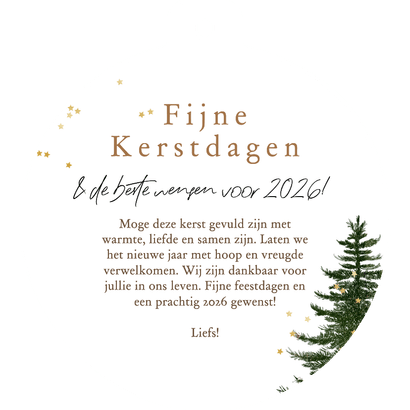 Trendy kerstkaart boho watercolor foto sterren goud Achterkant