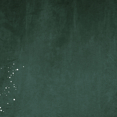 Trouwkaart chique velvet groen lijnillustratie klaproos goud Achterkant