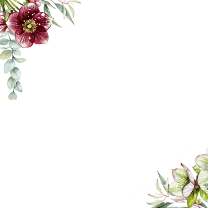 Trouwkaart helleborus bloemen op groen fluweel Achterkant
