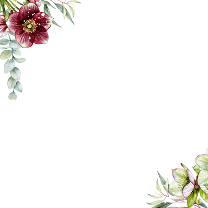 Trouwkaart helleborus bloemen op groen fluweel Achterkant