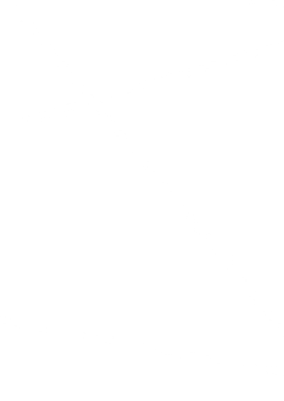 Uitnodiging huwelijk met gouden geometrische lijnen en foto Achterkant