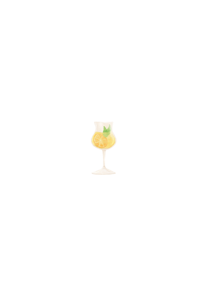 Uitnodiging verjaardag tuinfeest cocktail party foto disco Achterkant