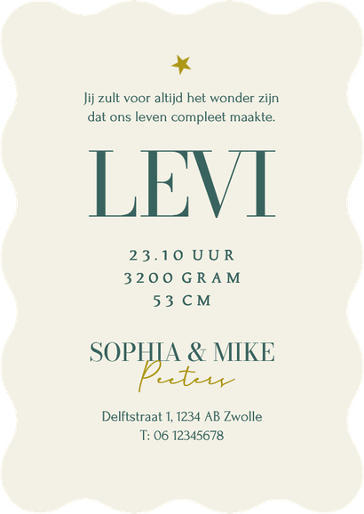 Wave geboortekaartje stijlvol gestreept grafisch sterren Achterkant