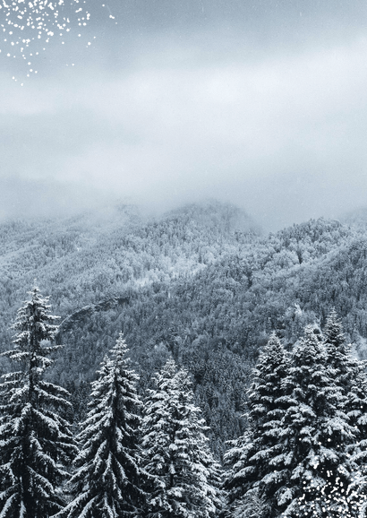 Winterse persoonlijke kerstkaart landschap dennenbomen foto Achterkant