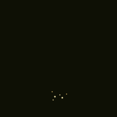 Zakelijke kerstkaart 2027 kerstboom lichtjes sterren logo Achterkant