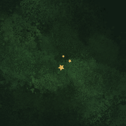 Zakelijke kerstkaart fijne kerst 2026 kerstboom bedankt Achterkant