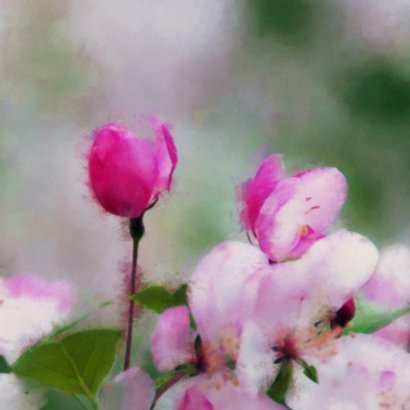 14193 Sterkte Bloemen 2