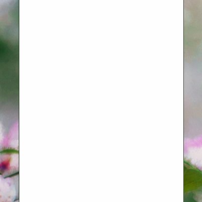 14193 Sterkte Bloemen 3