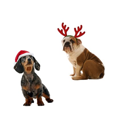 3 hondjes kerstmuts-isf 2