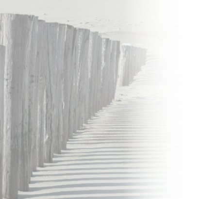 4K strandpalen werpen een schaduw 2