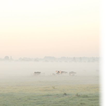 4k Zonsopkomst met ochtendmist 2