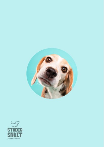 Afspreken verzoek kaart van hond met schuin koppie 2