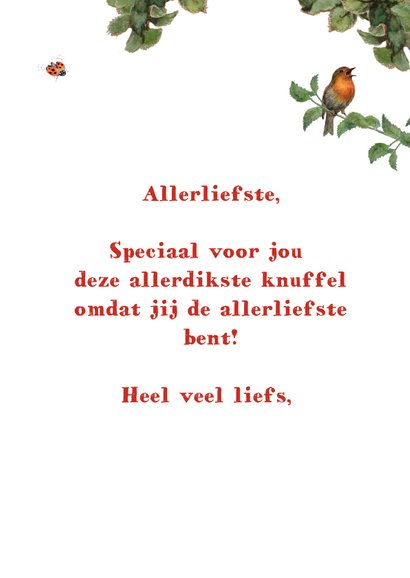 Allerdikste (kabouter)knuffel voor de allerliefste 3