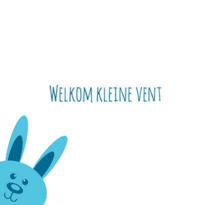 Aqua konijn geboorte - DH 2