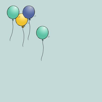 Auto rijbewijs geslaagd groen 2