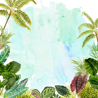 Avontuurlijk jungle geboortekaartje met panter Achterkant