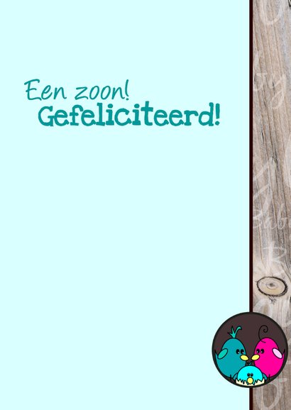 Baby BOY vogeltje in een boom 3