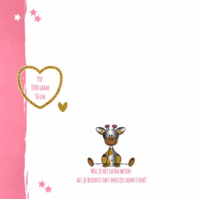Baby lief en glamour girafje 2