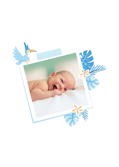 Babykaart jungle toekan blauw 2