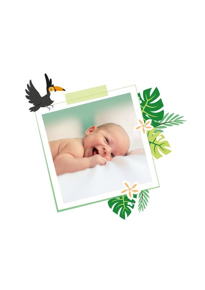 Babykaart jungle toekan groen 2