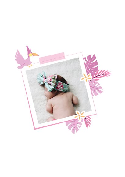 Babykaart jungle toekan roze paars 2