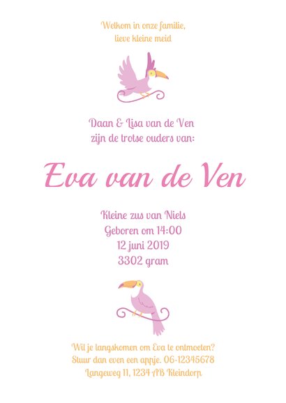 Babykaart jungle toekan roze paars 3