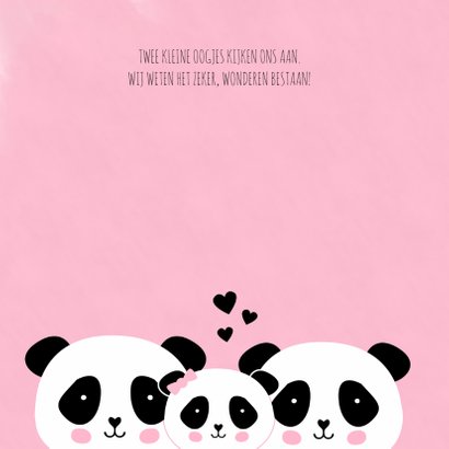 Babypanda gezinnetje 2