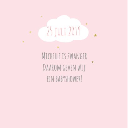 Babyshower flamingo foto 2