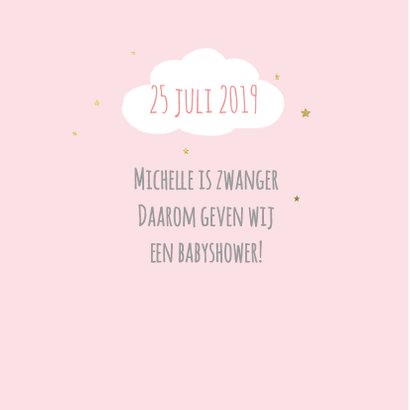 Babyshower flamingo foto 2