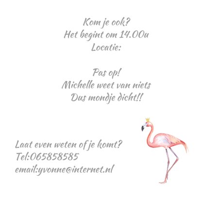 Babyshower flamingo foto 3