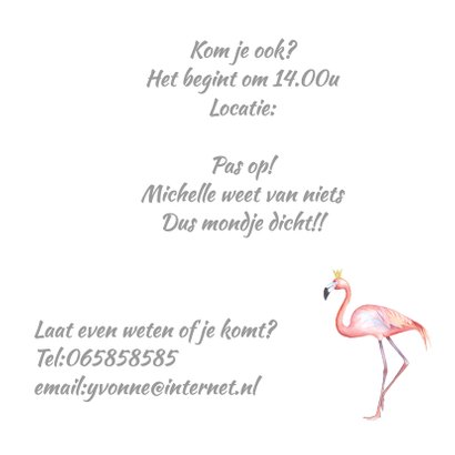 Babyshower flamingo foto 3