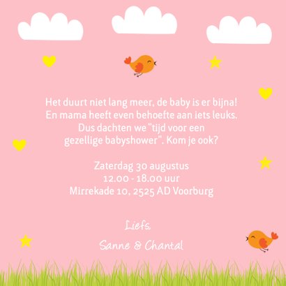 Babyshower olifantje roze 3