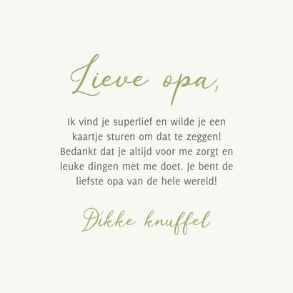 Bedankje hartjes foto dikke knuffel speciaal voor jou 3