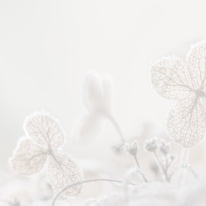 Bedankkaart hortensia 2