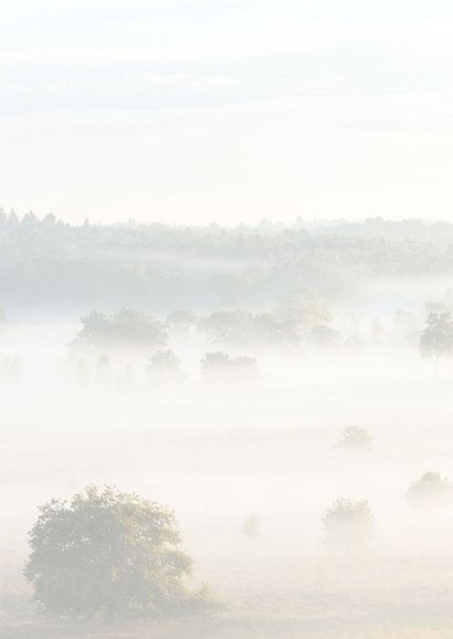 Bedankkaart landschap met mist 2