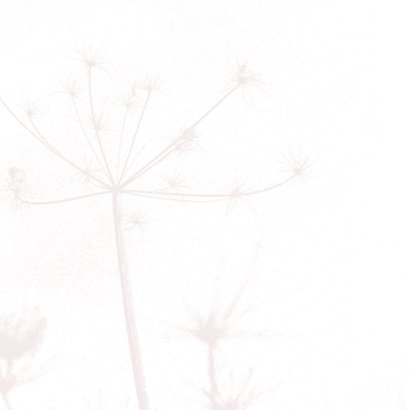 Bedankkaart met oud roze bloem silhouet 2