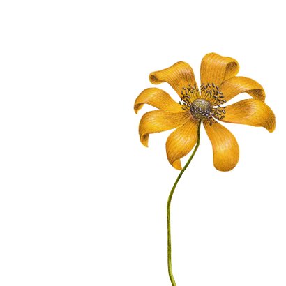 Bedankkaart vierkant gele bloem 2