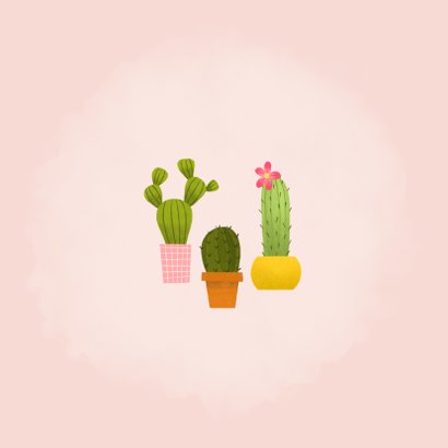 Bedankkaartje eerste communie met cactussen en foto Achterkant