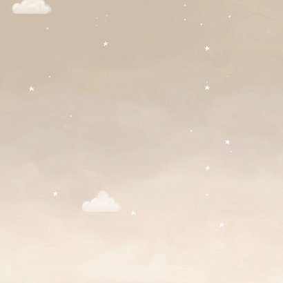 Beige geboortekaartje beer in bruine luchtballon Achterkant