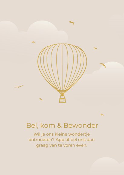 Beige geboortekaartje met luchtballon en vogels goudfolie 2