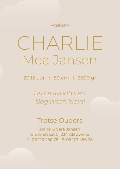 Beige geboortekaartje met luchtballon en vogels goudfolie 3