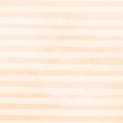 Beige geboortekaartje met schelp en en streepjes Achterkant