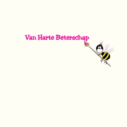 Beterschap BIJTJES en BLOEMEN 3