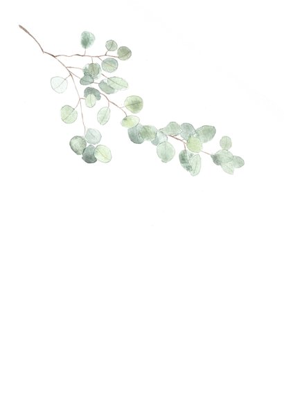 Beterschap kaart met eucalyptus tak - natuur 2