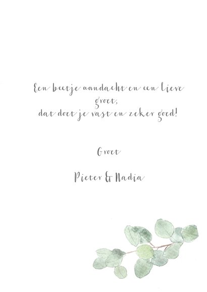 Beterschap kaart met eucalyptus tak - natuur 3