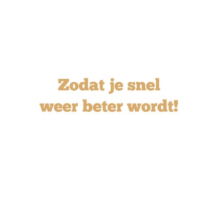 beterschap knuf 3