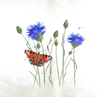 Beterschap korenbloemen met dagpauwoog-vlinder 2