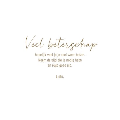 Beterschap - Labradoodle met bloem 3