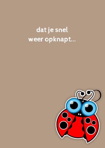 Beterschap lieveheersbeest - MG 3