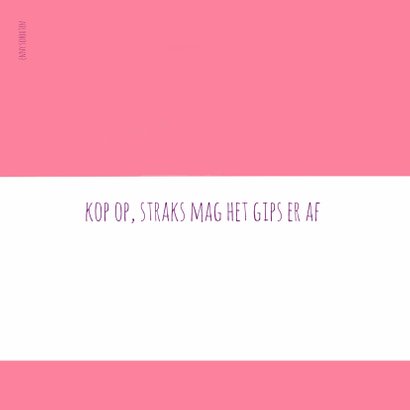 Beterschap meidje gebroken been 2
